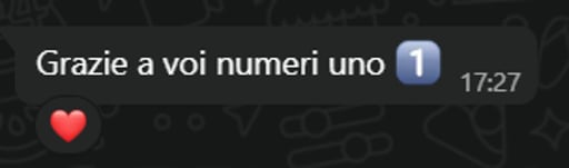 Customer conversation with an Irelia agent